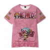 One Piece Graphic Tee One Piece T Shirts Anime Gym Shirts 01